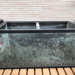 水槽 90センチ 魚 金魚 熱帯魚