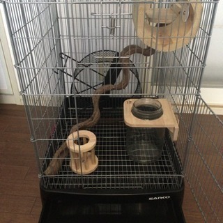 デグー飼育セット イージーホーム40ハイ