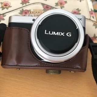 lumix gf9