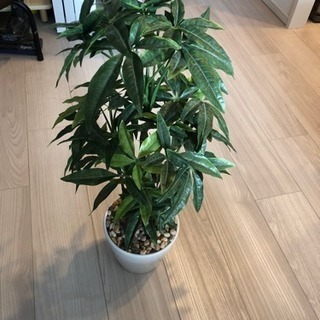 造花観葉植物です。