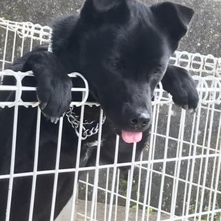 きゅう太郎→素敵な家族に迎えられました！