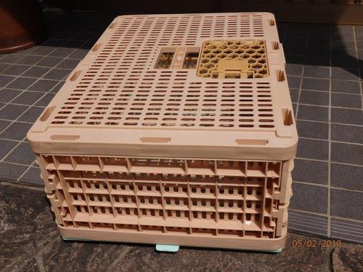 プラスチック放鳩籠