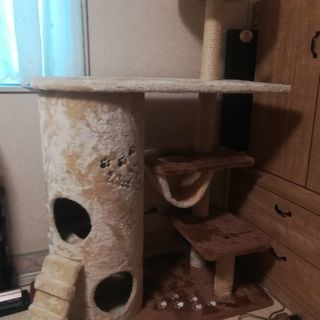 猫用タワー