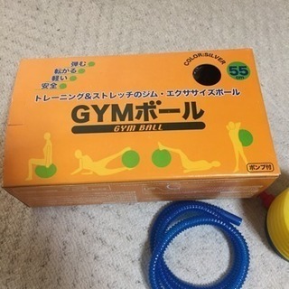 【GW値下げ】バランスボール  シルバー  55cm