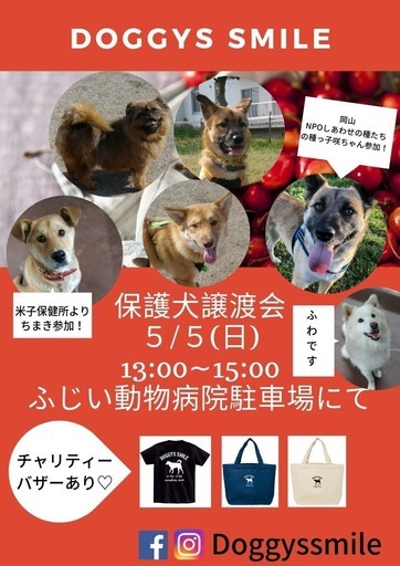 譲渡 保護 犬 全国の譲渡会・イベント情報｜OMUSUBI【審査制の保護犬猫マッチングサイト】