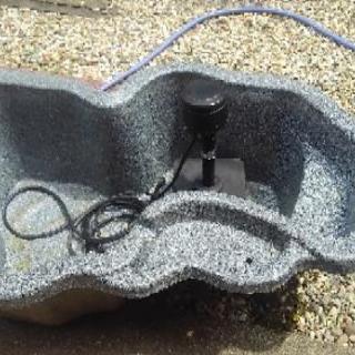 庭の池で金魚飼いませんか たけちゃん 江南のその他の中古あげます 譲ります ジモティーで不用品の処分