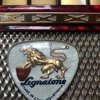 DELICIA made in チェコ アコーディオン アンティーク