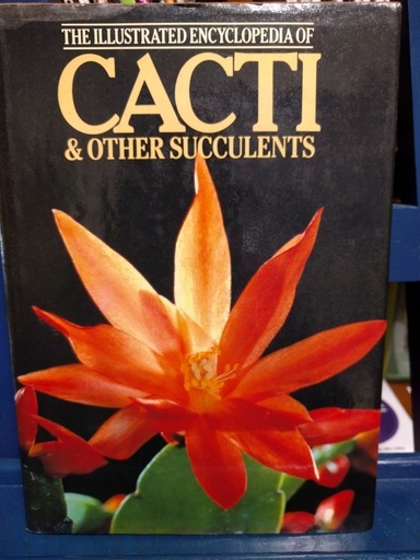 CACTI の中古本です。