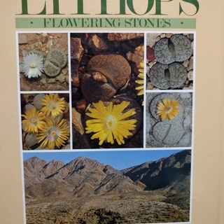 リトープスの世界的名著（中古）です。