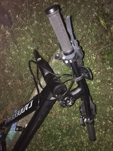 自転車