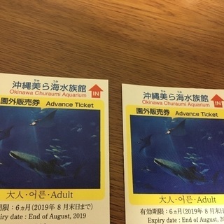 美ら海水族館チケット(2枚)