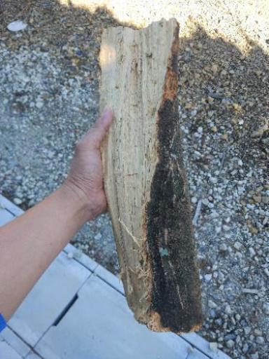 薪（カシ） | niikawa firewood