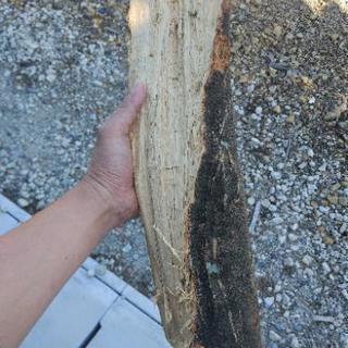 薪　カシ、クヌギのみ。　