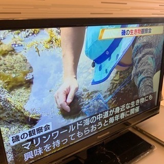 19型テレビ、洗濯機お譲りいたします。