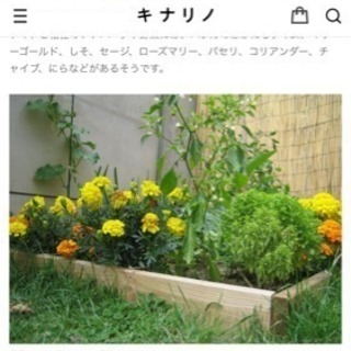 初めてのガーデニング 家庭菜園 ようこリン 枚方の買いたい くださいの助け合い ジモティー