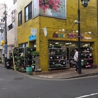 大倉山駅から綱島街道方面へ歩いて４０秒　黄色いタイルのビル一階が...