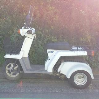 OF%≫ ホンダ ジャイロX 4st TD02 実動車 原付 バイク - bravista.com.br