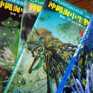 沖縄の海中生物図鑑