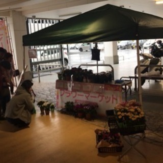 ３時間で5000円 お花屋さんのお手伝い 単発１回 大和市下鶴間