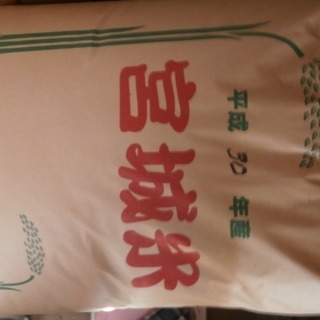 登米市産平成３０年度玄米３０キロ