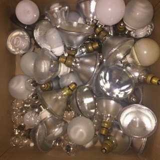 電球型蛍光ランプ　⑵