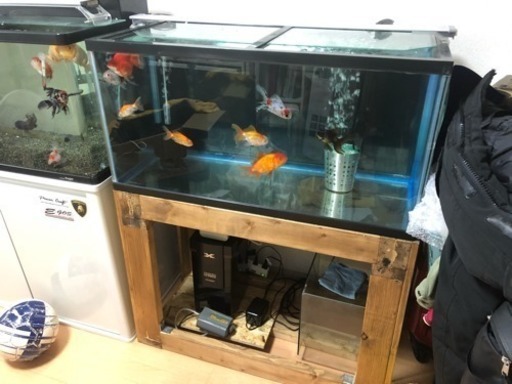 90センチ規格水槽 一式 【商談中】