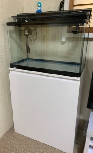 GEX 60cm水槽と水槽台セット (っ'-')╮=͟͟͞͞