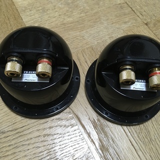 TS-S1RSⅡ カロッツェリア ミッドレンジスピーカー