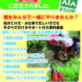 畑をみんなで一緒にやりませんか？早い者勝ち30組限定です！！