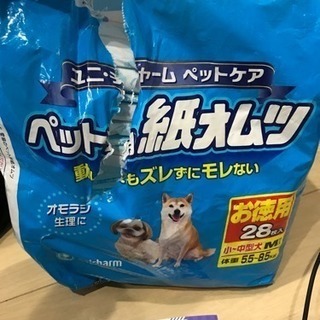 犬の紙オムツ