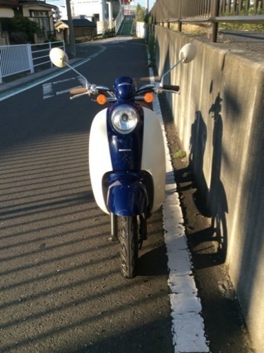 【バイク屋整備済み】HONDA  SCOOPY ホンダ スクーピー 50cc スクーター