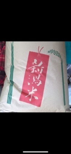 去年の秋に取れましたコシヒカリです。30キロ2つあります