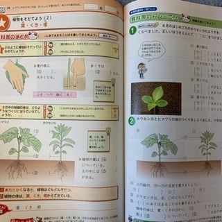 小学3年生 理科 未使用 Poko 根岸の参考書の中古あげます 譲ります ジモティーで不用品の処分 小学3年生 理科 未使用 Poko 根岸の参考書の中古あげます 譲ります ジモティーで不用品の処分