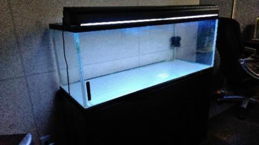 【引取り限定】大型水槽2000×680×600 引取り限定】大型水槽2000×680×600 【公式通販】