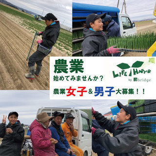 【3ヶ月で約60万！！】初春の北海道で農業体験☆多くの女性も活躍中！！の画像