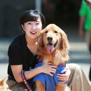 遊んでくれる犬のお友達探してます。