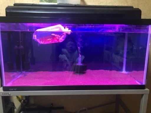 90水槽セット