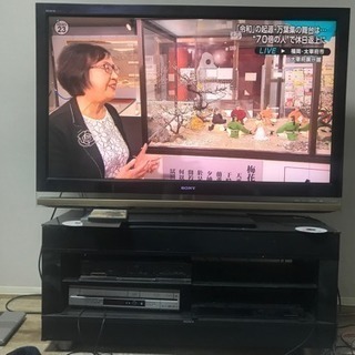 ソニー ブラビア 50インチ テレビ&シアターラック