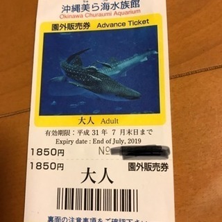 沖縄 美ら海水族館 大人1名チケット 2019年7月末まで