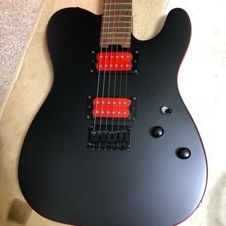 SCHECTER(シェクター) SiM SHOW-HATEモデル 直筆サイン入り