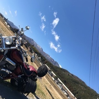 バイク仲間募集〜！！