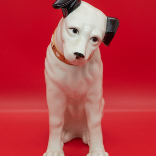 中古ビクター犬が無料 格安で買える ジモティー