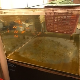 水槽ろ過装置セット