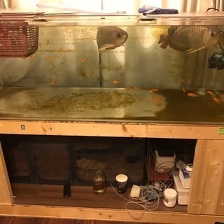 水槽ろ過装置セット