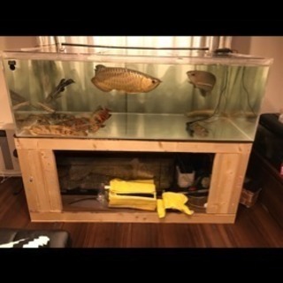 水槽ろ過装置セット