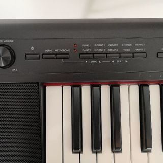 YAMAHA piaggero（ピアジェーロ） NP-32 | mensatech.ca