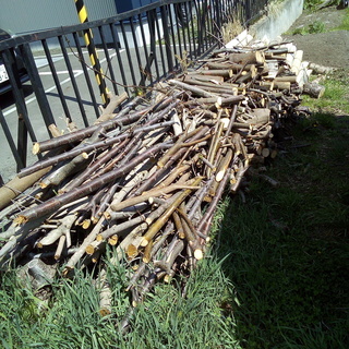 （持ち帰り限定）薪に使える伐採木、竹を譲ります