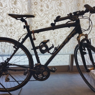 FELT QX70 550mm 2010年式