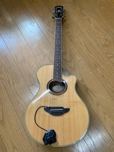 Roland GR20 とYAMAHA APX700IIをセットで