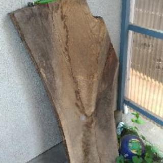 樫の木　9年乾燥 DIY用　テーブル　薪？
